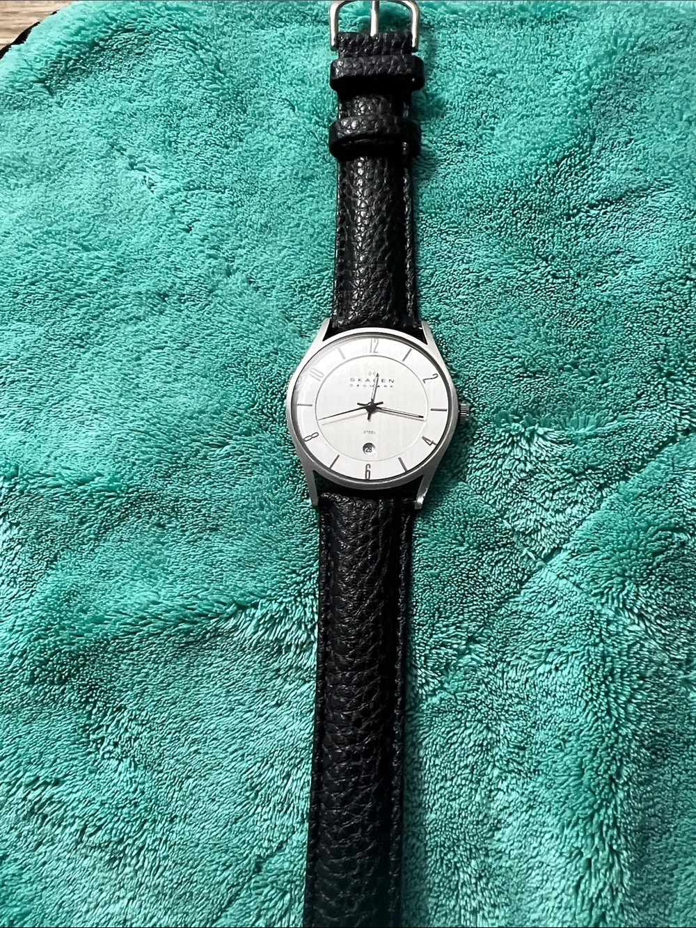 Skagen Silver Dial with Black Leather Strap